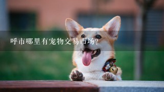 呼市哪里有宠物交易市场？