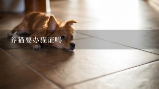 养猫要办猫证吗