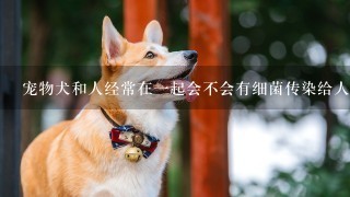 宠物犬和人经常在一起会不会有细菌传染给人？