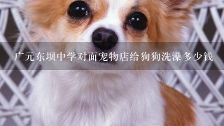 广元东坝中学对面宠物店给狗狗洗澡多少钱