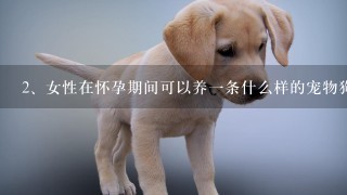 女性在怀孕期间可以养一条什么样的宠物狗呢？