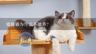 矮脚猫为什么不能养？