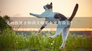 宠物指导手和训犬师那个更有前景？