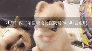 牡丹江西三条医康宠物医院是24小时营业吗