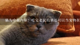 猫为啥做内驱？吃完老鼠的猫还可以当宠物在楼上养么