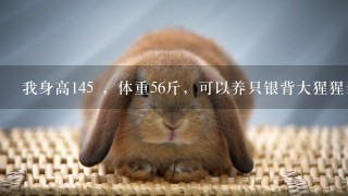 我身高145 ，体重56斤，可以养只银背大猩猩当宠物吗？