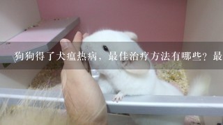 狗狗得了犬瘟热病，最佳治疗方法有哪些？最好注射那