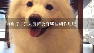 狗狗打了狂犬疫苗会有哪些副作用吧