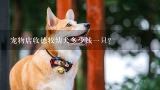 宠物店收德牧幼犬多少钱一只？