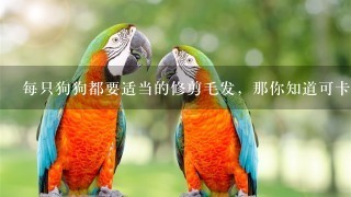 每只狗狗都要适当的修剪毛发，那你知道可卡犬是怎样