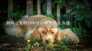 剑网三宠物3500可以触发什么奇遇