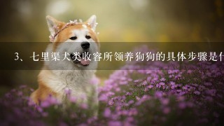 七里渠犬类收容所领养狗狗的具体步骤是什么？需要带