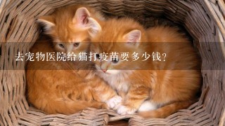 去宠物医院给猫打疫苗要多少钱?