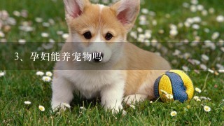 孕妇能养宠物吗