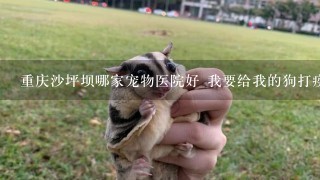 重庆沙坪坝哪家宠物医院好 我要给我的狗打疫苗~~~~ 想找可靠点的宠物医院