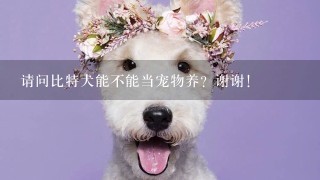 请问比特犬能不能当宠物养？谢谢！