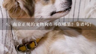 南京正规的宠物狗市场在哪里？靠谱吗？