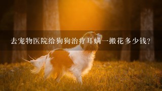 去宠物医院给狗狗治疗耳螨一搬花多少钱?