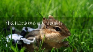 什么托运宠物公司人可以随行