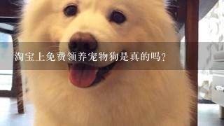 淘宝上免费领养宠物狗是真的吗？