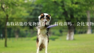 畜牧站能给宠物猫看病，打疫苗吗，会比宠物医院便宜吗