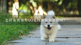 怎样免费领养QQ宠物熊熊和猪猪呀？