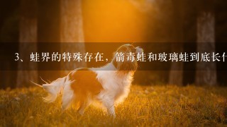 蛙界的特殊存在，箭毒蛙和玻璃蛙到底长什么样?