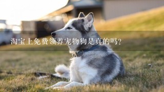 淘宝上免费领养宠物狗是真的吗？