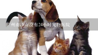 广州南沙有没有24小时宠物医院