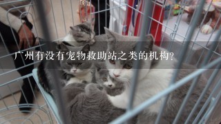 广州有没有宠物救助站之类的机构？