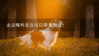 北京哪些景点可以带宠物进？