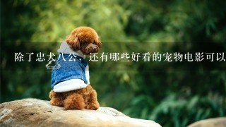 除了忠犬八公，还有哪些好看的宠物电影可以推荐？