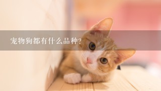 宠物狗都有什么品种？