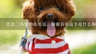 忠县二小宠物店电话。谢谢看看这个是什么狗🐶