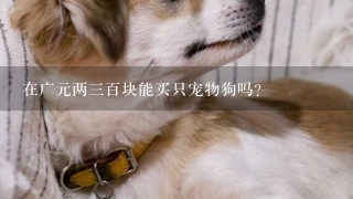 在广元两三百块能买只宠物狗吗?