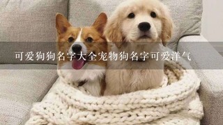 可爱狗狗名字大全宠物狗名字可爱洋气