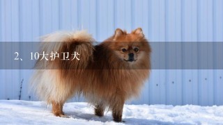 10大护卫犬