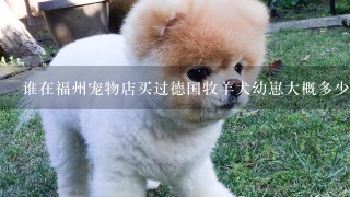 谁在福州宠物店买过德国牧羊犬幼崽大概多少钱想买一只