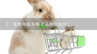 宠物角蛙养哪个品种比较好？