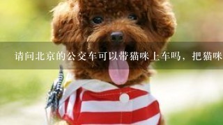 请问北京的公交车可以带猫咪上车吗，把猫咪装在宠物