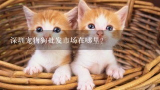 深圳宠物狗批发市场在哪里？