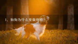 狗狗为什么要做绝育?