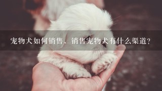 宠物犬如何销售，销售宠物犬有什么渠道？