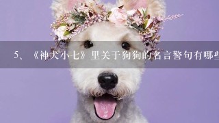 《神犬小七》里关于狗狗的名言警句有哪些？