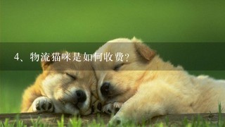 物流猫咪是如何收费?