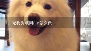 宠物狗项圈diy怎么做