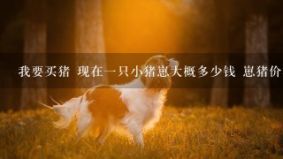 我要买猪 现在一只小猪崽大概多少钱 崽猪价格？