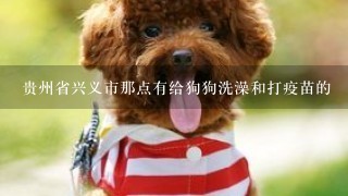 贵州省兴义市那点有给狗狗洗澡和打疫苗的