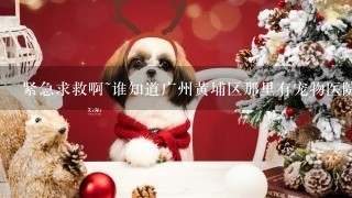 紧急求救啊~谁知道广州黄埔区那里有宠物医院？