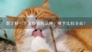 想了解一下宠物猫的品种，哪里比较全面?